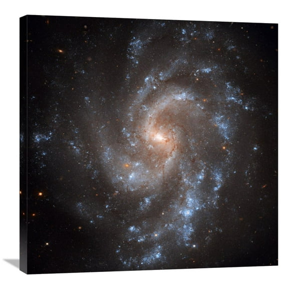 Global Gallery NASA,'NGC 5584' Stretched Canvas Artwork