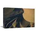 thumbnail image 1 of Global Gallery  Namib Desert Sand Dunes - Tallest Sand Dunes in the World - Namibia Art Print - Robyn Stewart, 1 of 1