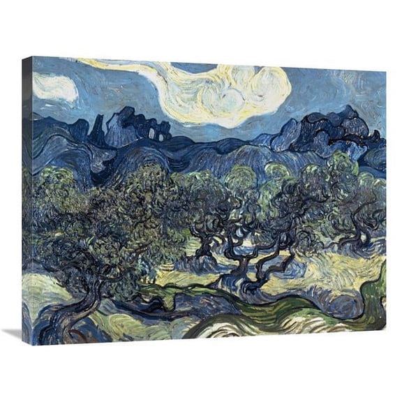 Global Gallery  Olive Trees with the Alpilles in the Background - Saint-Remy Art Print - Vincent Van Gogh