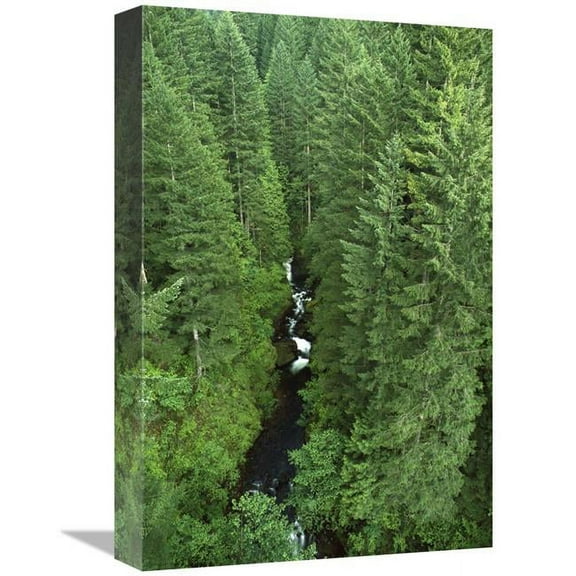 Global Gallery  Oneonta Creek - Columbia Gorge - Mt Hood National Forest - Oregon Art Print - Gerry Ellis