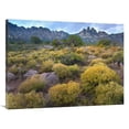 thumbnail image 1 of Global Gallery  Organ Mountains - Chihuahuan Desert - New Mexico Art Print, 1 of 1