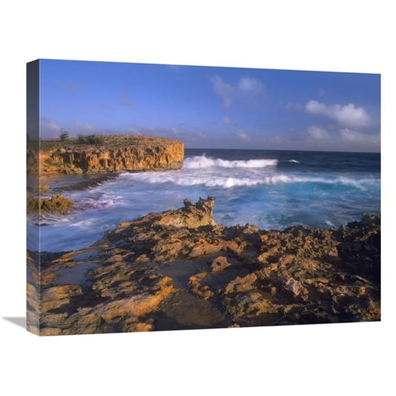 Global Gallery  Pacific Ocean Waves & Cliffs at Keoneloa Bay - Kauai - Hawaii Art Print