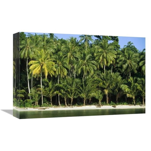 Global Gallery  Palm Trees Along White Sand Beach - Irian Jaya - Indonesia Art Print