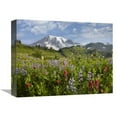 thumbnail image 1 of Global Gallery  Paradise Meadow & Mount Rainier - Mount Rainier National Park - Washington Art Print - Tim Fitzharris, 1 of 1