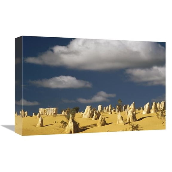 Global Gallery  Pinnacle Formations in Nambung National Park - Western Australia Art Print - Gerry Ellis