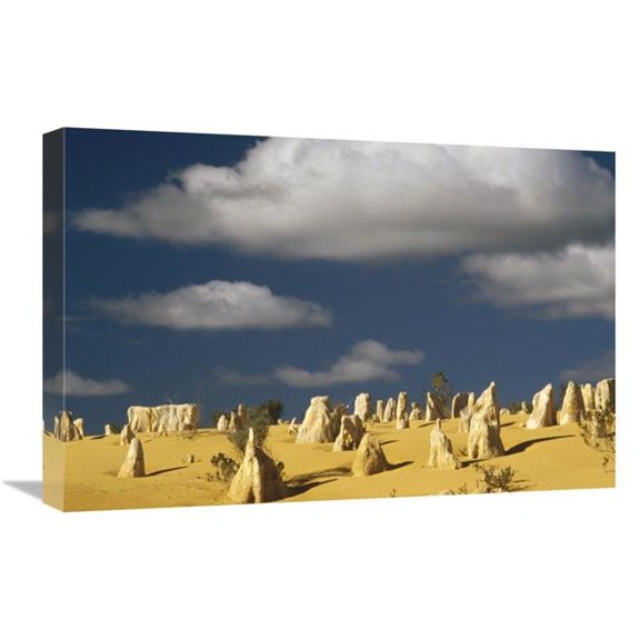 Global Gallery  Pinnacle Formations in Nambung National Park - Western Australia Art Print - Gerry Ellis