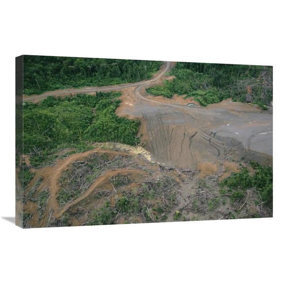 Global Gallery  Rainforest Logging Activities Near Eastern Boundary of the Kikori Delta - Papua New Guinea Art Print - Gerry Ellis