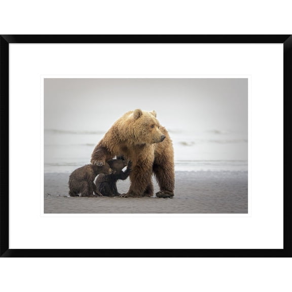 Global Gallery Renee Doyle 'Family Time' Framed Wall Art