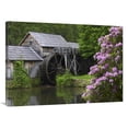 thumbnail image 1 of Global Gallery  Rhododendron Blossoming at Mabry Mill - Blue Ridge Parkway - Virginia Art Print - Tim Fitzharris, 1 of 1