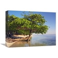 thumbnail image 1 of Global Gallery  Roatan Island - Honduras Art Print - 12 x 16 in., 1 of 1