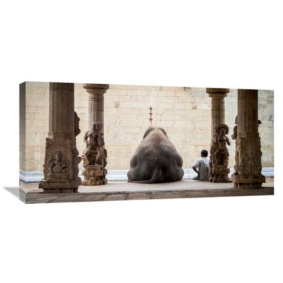 Global Gallery Ruhan,'The Elephant and Its Mahot' Stretched Canvas Artwork
