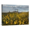 thumbnail image 1 of Global Gallery  Saguaro Cacti & Brittlebush at Picacho Peak State Park - Arizona Art Print - Tim Fitzharris, 1 of 1