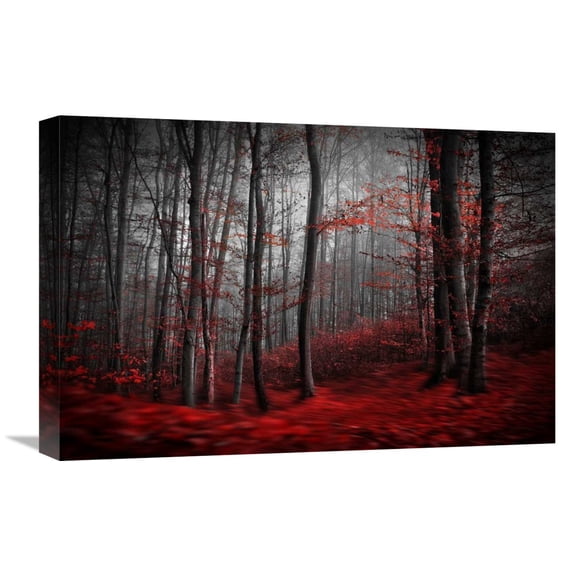 Global Gallery Samanta,'Bloody River' Stretched Canvas Artwork