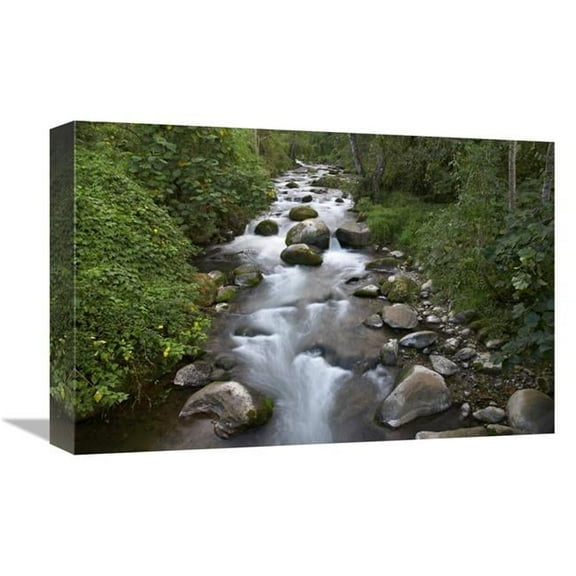 Global Gallery  Savegre River Flowing Through Forest - Costa Rica Art Print - Tim Fitzharris
