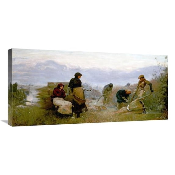 Global Gallery Sedge Cutting in Wecken Fen - Cambridgeshire Art Print - Robert Walker Macbeth