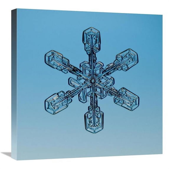 Global Gallery Snowflake Seen Through Microscope Art Print - Steve Gettle