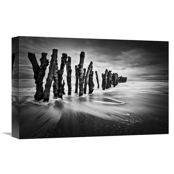 Global Gallery Sobul,'Timber Graffiti' Stretched Canvas Artwork