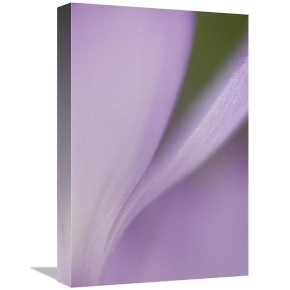 Global Gallery  Spring Crocus Detail - Netherlands Art Print - Heike Odermatt