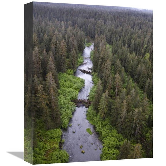 Global Gallery  Stream & Boreal Forest - Tongass National Forest - Yakutat - Alaska Art Print - Matthias Breiter