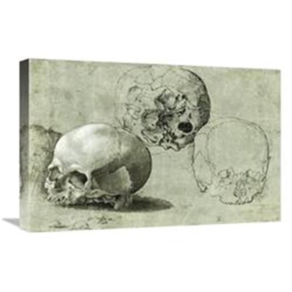 Global Gallery  Study of Three Skulls Art Print - Unknown Southern German