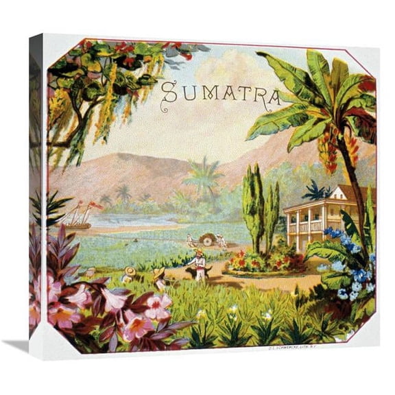 Global Gallery Sumatra Art Print - Unknown