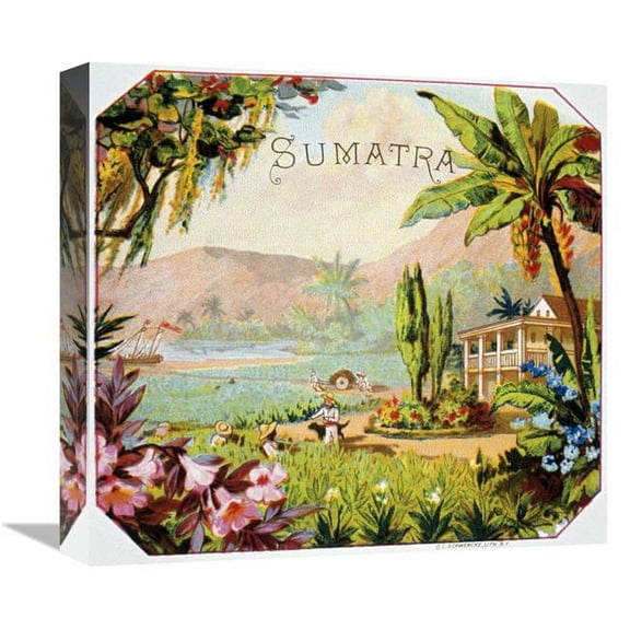 Global Gallery Sumatra Art Print - Unknown