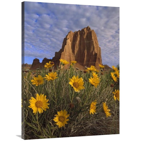 Global Gallery Temple of the Sun with Sunflowers - Capitol Reef National Park - Utah Art Print - Tim Fitzharris
