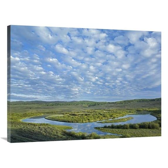Global Gallery The Green River - Bridger-Teton National Forest - Wyoming Art Print - Tim Fitzharris
