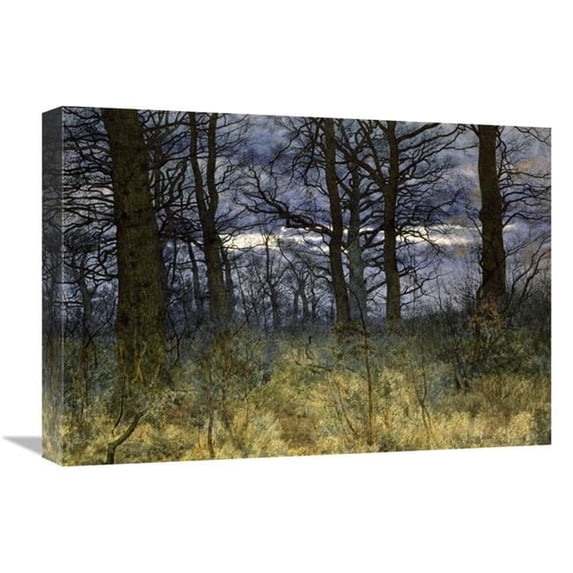 Global Gallery The Woods at Dusk Art Print - William Fraser Garden - 22in.
