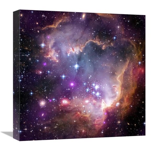 Global Gallery  Under the Wing of the Small Magellanic Cloud Art Print - NASA - 18in. x 18in.