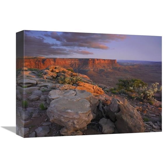 Global Gallery View From the Green River Overlook - Canyonlands National Park - Utah Art Print - Tim Fitzharris