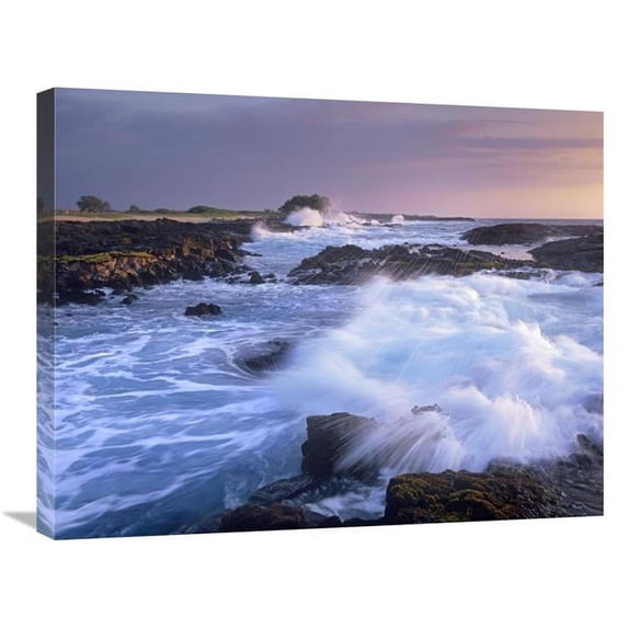 Global Gallery Waves Crashing on Rocky Shore - Wawaloli Beach - Big Island - Hawaii Art Print - Tim Fitzharris