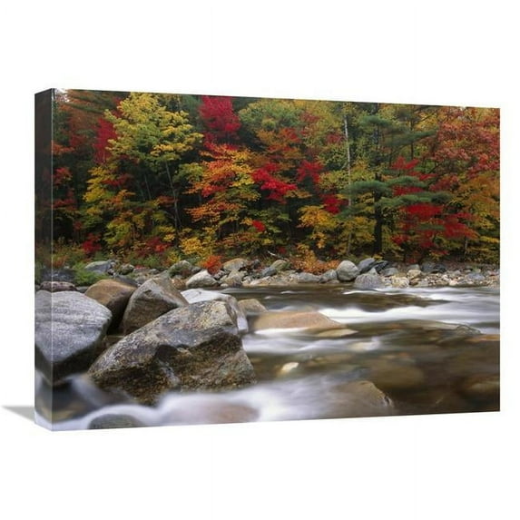 Global Gallery Wild River in Eastern Hardwood Forest - White Mountains National Forest - Maine Art Print - Tim Fitzharris