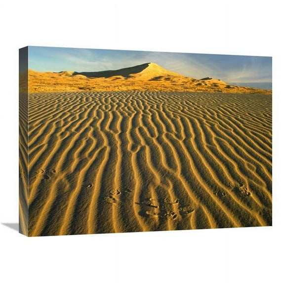 Global Gallery Wind Ripples in Kelso Dunes - Mojave National Preserve - California Art Print - Tim Fitzharris