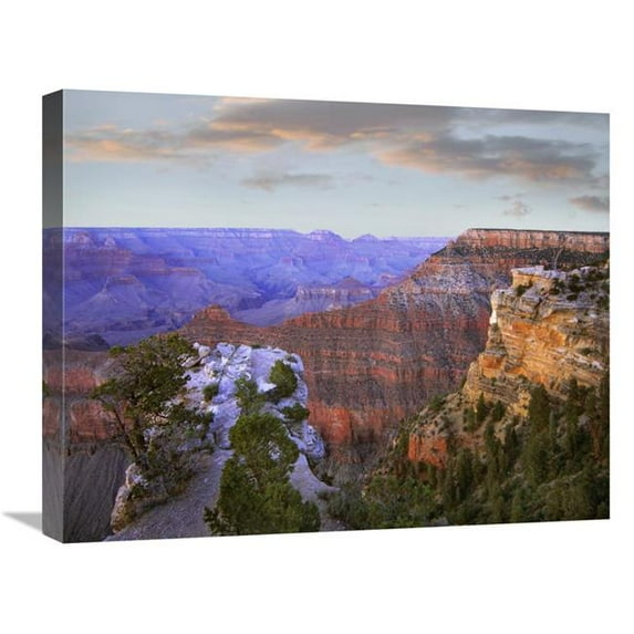 Global Gallery Wotans Throne From South Rim - Grand Canyon National Park - Arizona Art Print - Tim Fitzharris