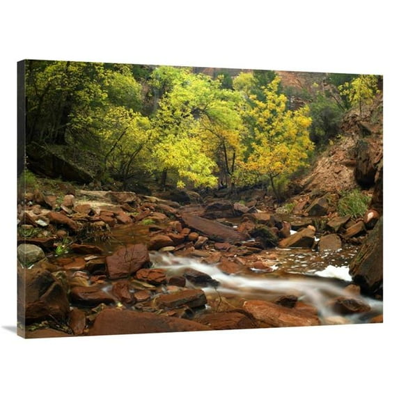 Global Gallery Zion Canyon Near Emerald Pools - Zion National Park - Utah Art Print - Tim Fitzharris