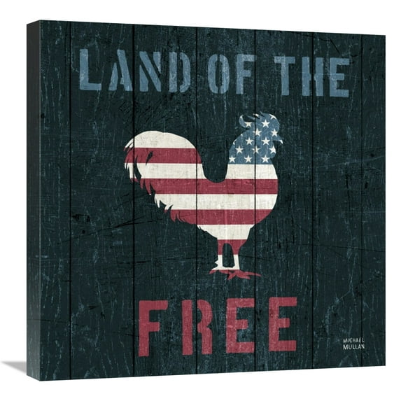 Global Gallery's 'American Farm Rooster' By Michael Mullan Stretched Canvas Wall Art