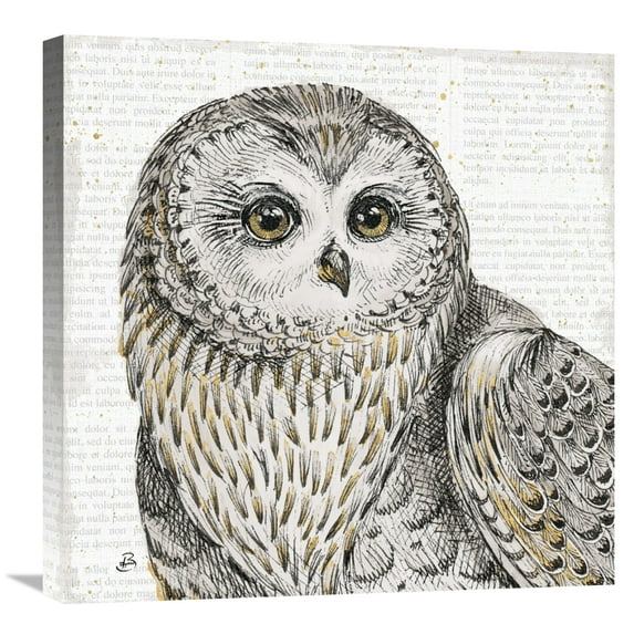 Global Gallery's 'Beautiful Owls II' by Daphne Brissonnet Stretched Canvas Wall Art