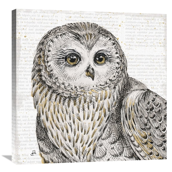 Global Gallery's 'Beautiful Owls II' by Daphne Brissonnet Stretched Canvas Wall Art