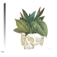 thumbnail image 1 of Global Gallery's 'Brainstem II' By Elyse DeNeige Stretched Canvas Wall Art, 1 of 4