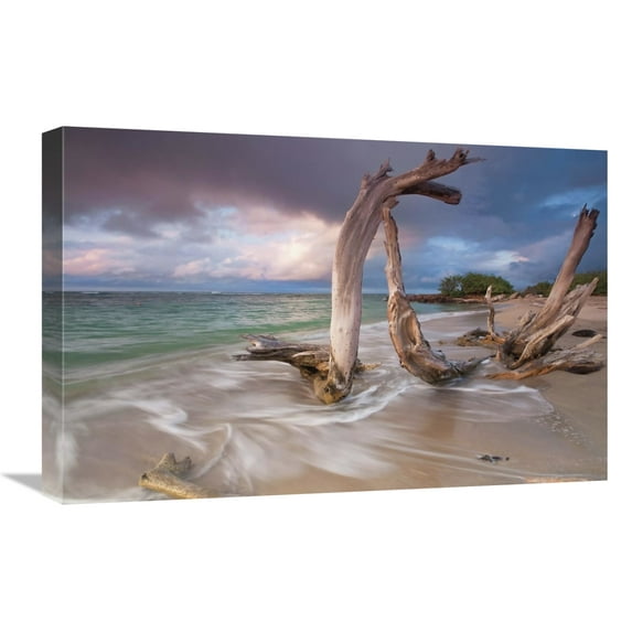 Global Gallery's 'Driftwood Sunset' By Katherine Gendreau Stretched Canvas Wall Art