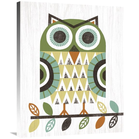 Global Gallery's 'Folk Lodge Owl Earth' By Michael Mullan Stretched Canvas Wall Art
