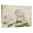thumbnail image 1 of Global Gallery's 'Hydrangeas I (Neutre)' by Remy Dellal Stretched Canvas Wall Art, 1 of 4