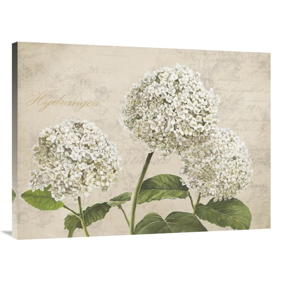 Global Gallery's 'Hydrangeas I (Neutre)' by Remy Dellal Stretched Canvas Wall Art