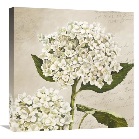 Global Gallery's 'Hydrangeas II (Neutre)' by Remy Dellal Stretched Canvas Wall Art