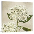 thumbnail image 1 of Global Gallery's 'Hydrangeas II (Neutre)' by Remy Dellal Stretched Canvas Wall Art, 1 of 3