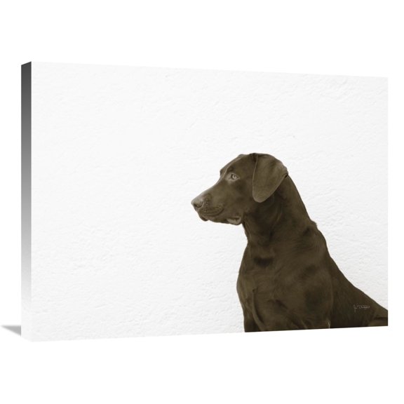Global Gallery's 'I See You' By Jim Dratfield Stretched Canvas Wall Art