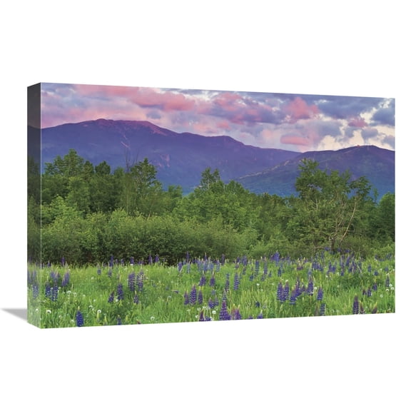 Global Gallery's 'Layer Cake' By Katherine Gendreau Stretched Canvas Wall Art
