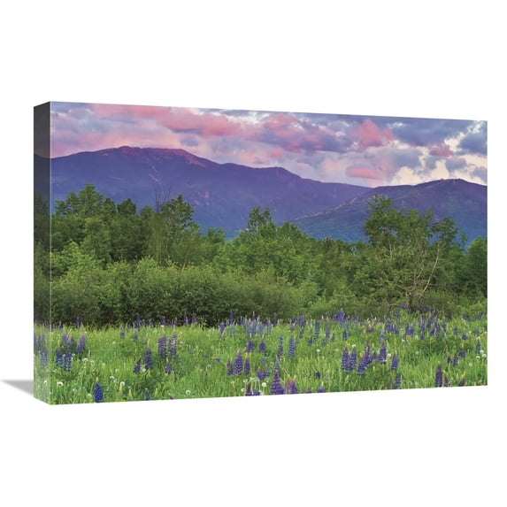 Global Gallery's 'Layer Cake' By Katherine Gendreau Stretched Canvas Wall Art