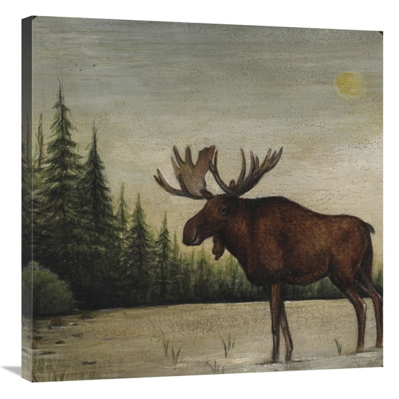 Global Gallery's 'North Woods Moose II' by David Carter Brown Stretched Canvas Wall Art